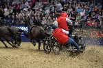 Extreme - 00451